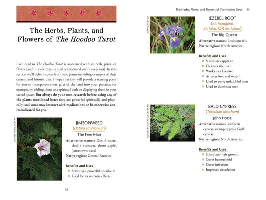 Hoodoo Tarot Workbook by Tayannah Lee McQuillar