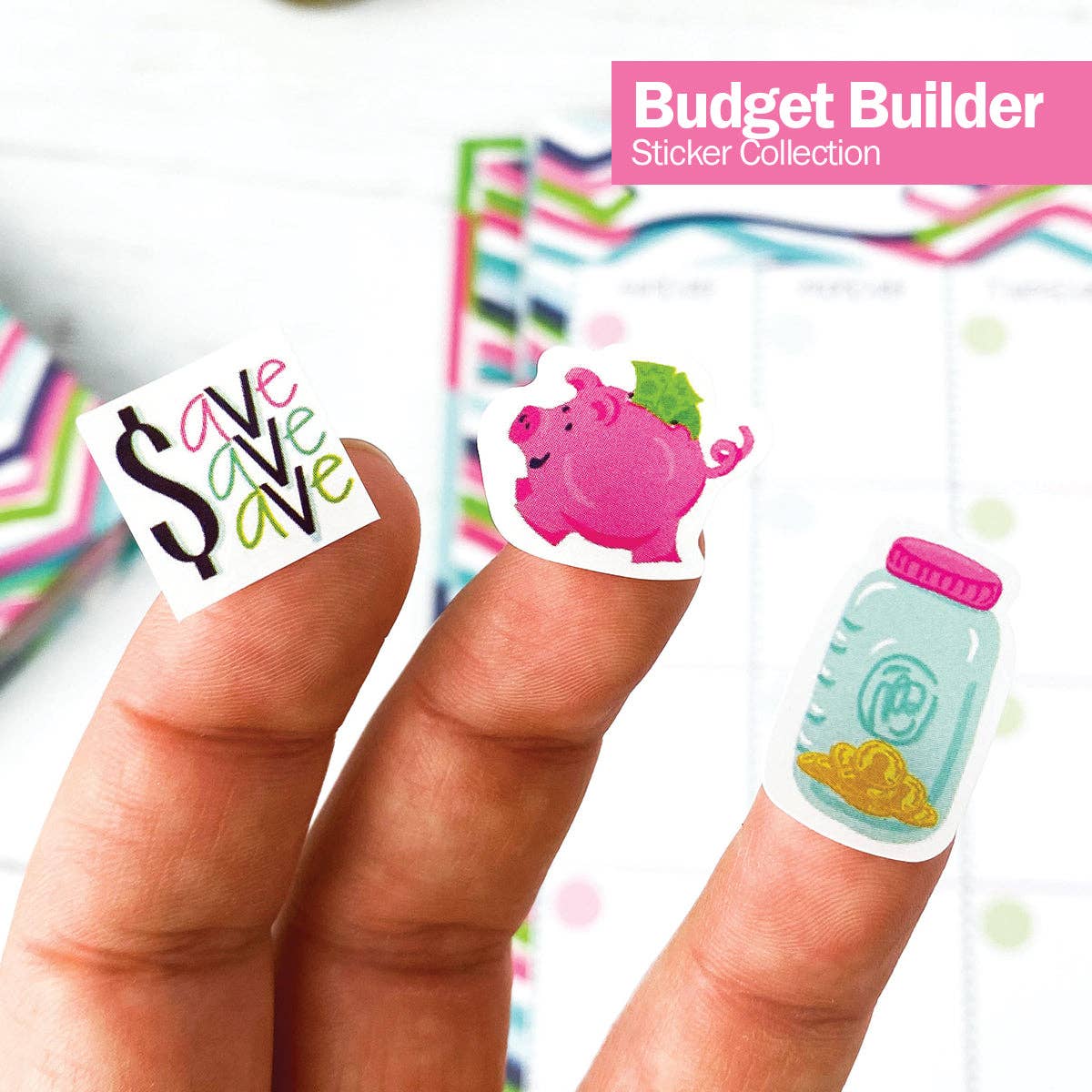 Planner Stickers for Budgeting | Open Stock